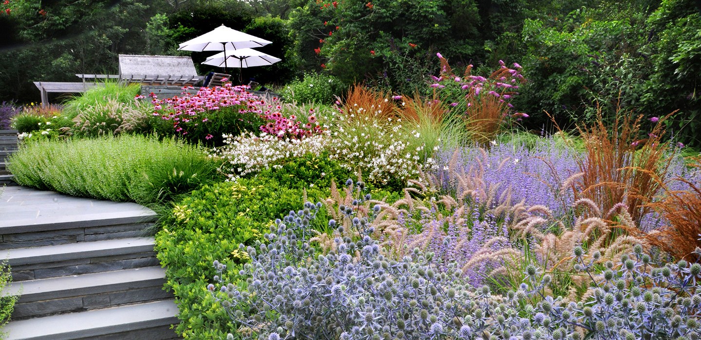 Harmonia Landscape Design Services